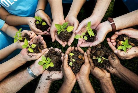 tagalog slogan about environment|Inspiring Filipinos to become advocates for the .